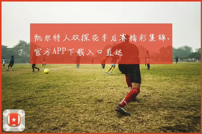 凯尔特人双探花季后赛精彩集锦，官方APP下载入口直达