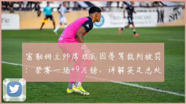 富勒姆主帅席尔瓦因辱骂裁判被罚:禁赛一场+9万镑,详解英足总处罚依据与流程